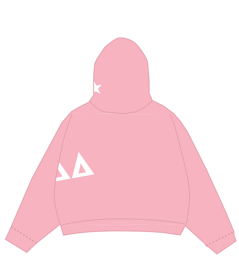 HG-0327 Rhodes College - Delta Delta Delta Hoodie