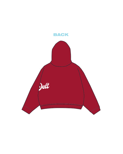 H3G-0946 - Boston University - Sigma Delta Tau - Hoodie