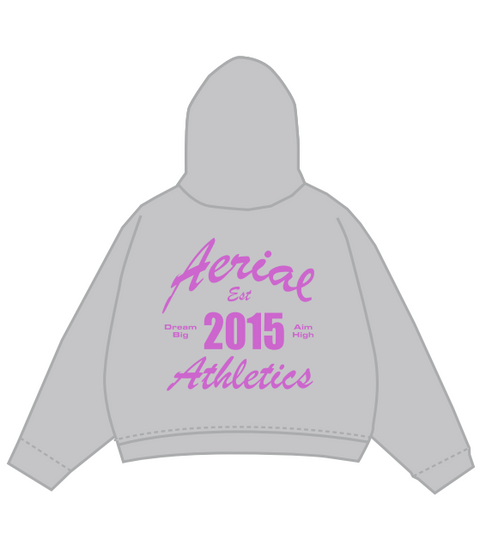 Aerial Athletics Silver Gray Hoodie