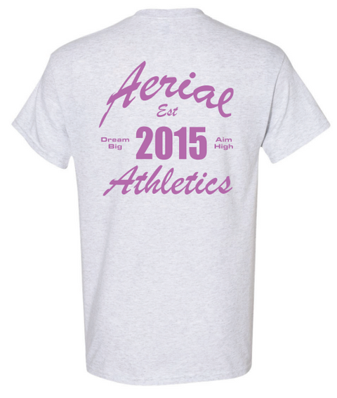 Aerial Athletics Gray T-Shirt