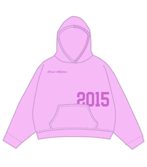 Aerial Athletics Pink Hoodie