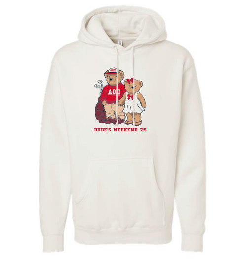 Alpha Omicron Phi Hoodie