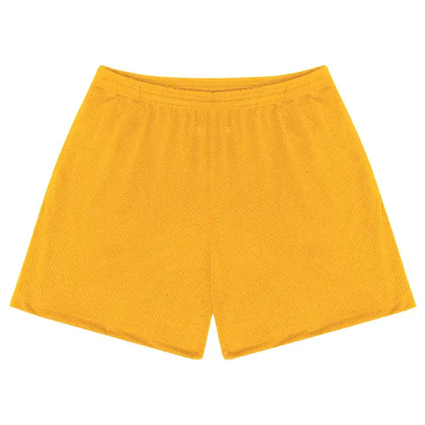 Los Angeles Apparel Pro Mesh Gym Shorts