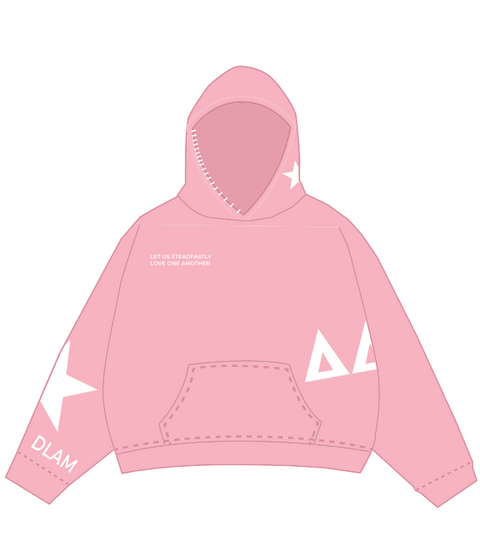 HG-0327 Rhodes College - Delta Delta Delta Hoodie