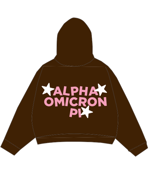 HG-0423 Austin Peay State University Alpha Omicron Pi Brown Hoodie