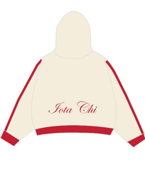 HG-0444 - James Madison University - Phi Sigma Sigma Hoodie