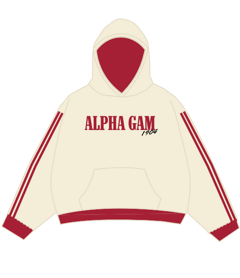 HG-0535 - 4 - Tarleton State University - Alpha Gamma Delta Hoodie