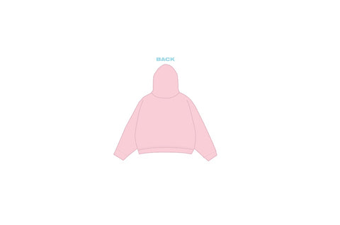 H3G-0907-Michigan State University-Pi Beta Phi-HOODIE