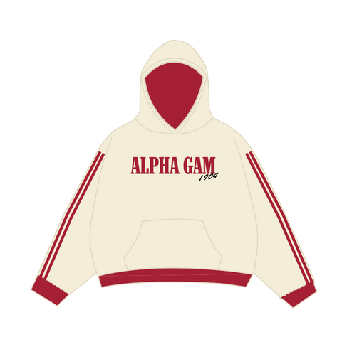 HG-0535 - 3 - Toronto University x Alpha Gamma Delta Hoodie