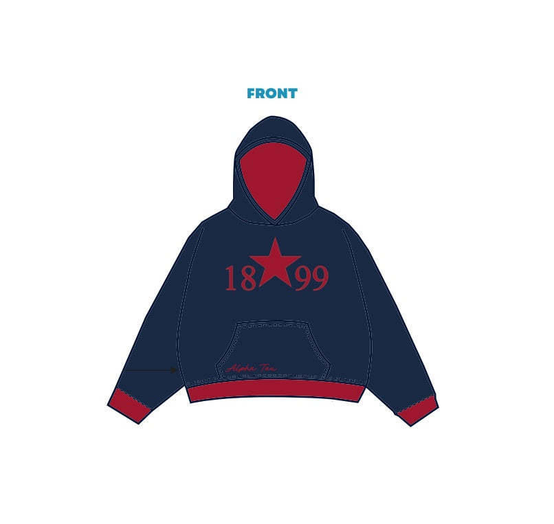 H3G-1336 - Duquesne University - Alpha Sigma Tau Hoodie