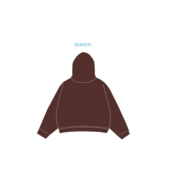 H3G-2363 - Central Michigan University - Delta Zeta Hoodie
