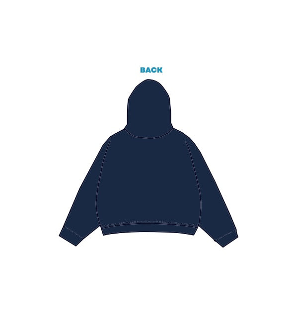 H3G-2679 - Duquesne University - Alpha Omicron Pi Hoodie