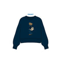 H3G-2738 - Dartmouth College - Sorority CREWNECK KNIT SWEATER -  Flat embroidery