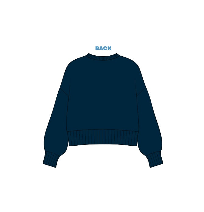 H3G-2738 - Dartmouth College - Sorority CREWNECK KNIT SWEATER -  Flat embroidery