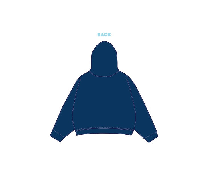 H3G-2966 - Kent State University - Sigma Delta Tau Hoodie