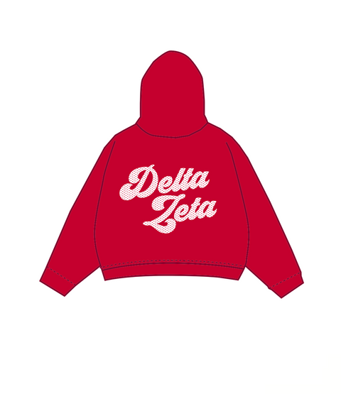 HG-0700 - University of Pittsburgh X Delta Zeta Hoodie