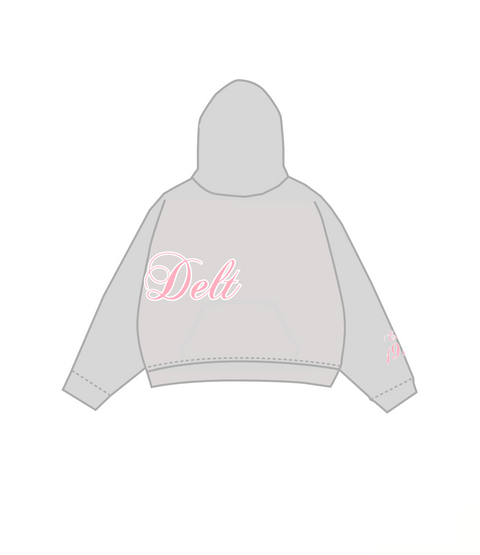 HG-0471 - Farmingdale State College X Sigma Delta Tau Hoodie