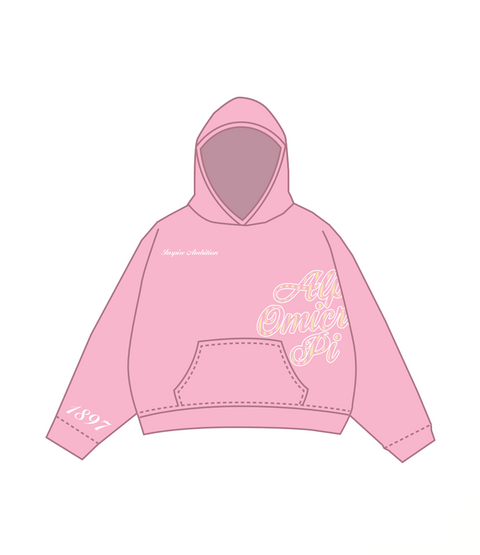 IN-0070 - Miami University X Alpha Omicron Pi Hoodie