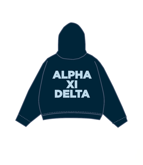 IN-0135 - Michigan State University X Alpha Xi Delta Hoodie Navy