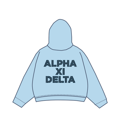 IN-0135 - Michigan State University X Alpha Xi Delta Hoodie Pastel Blue
