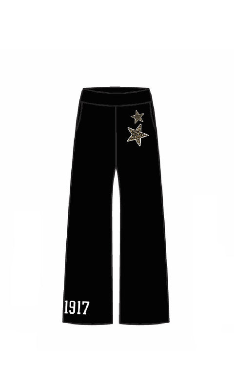 HG-0632 - Farmingdale State College - Delta Phi Epsilon Sweatpants
