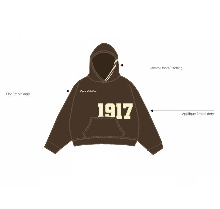 IN-0278 - Boston University - Sigma Delta Tau  Brown Hoodie