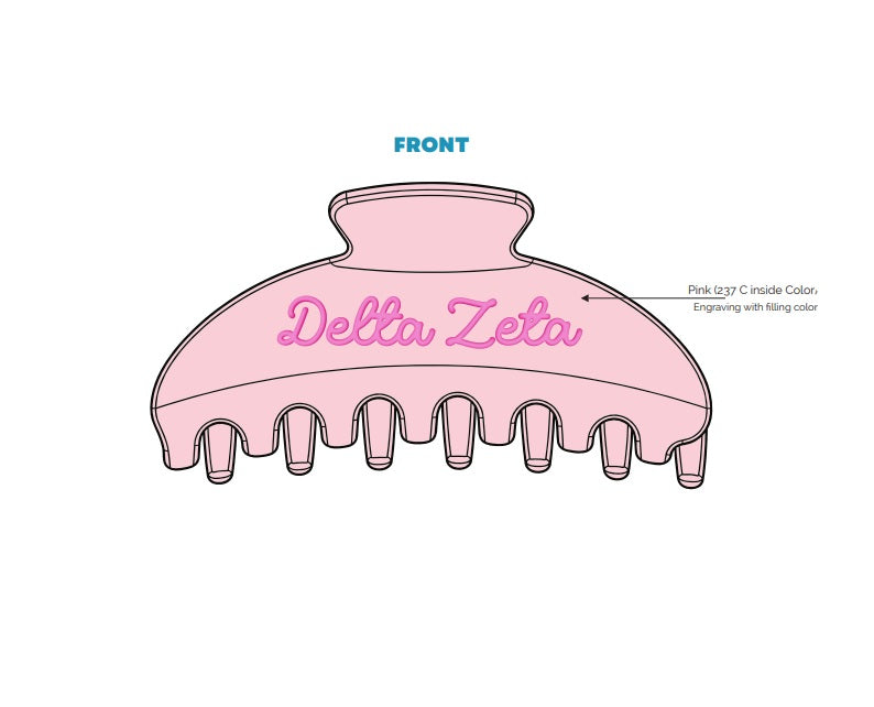 H3G-2731-Northeastern University-Delta Zeta-CLAW CLIP PINK