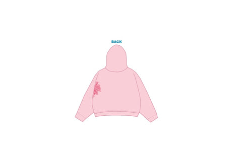 H3G-0671-University of California San Diego-Alpha Omicron Pi-Hoodie