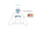 H3G-1641-University of Delaware-sigma kappa-HOODIE