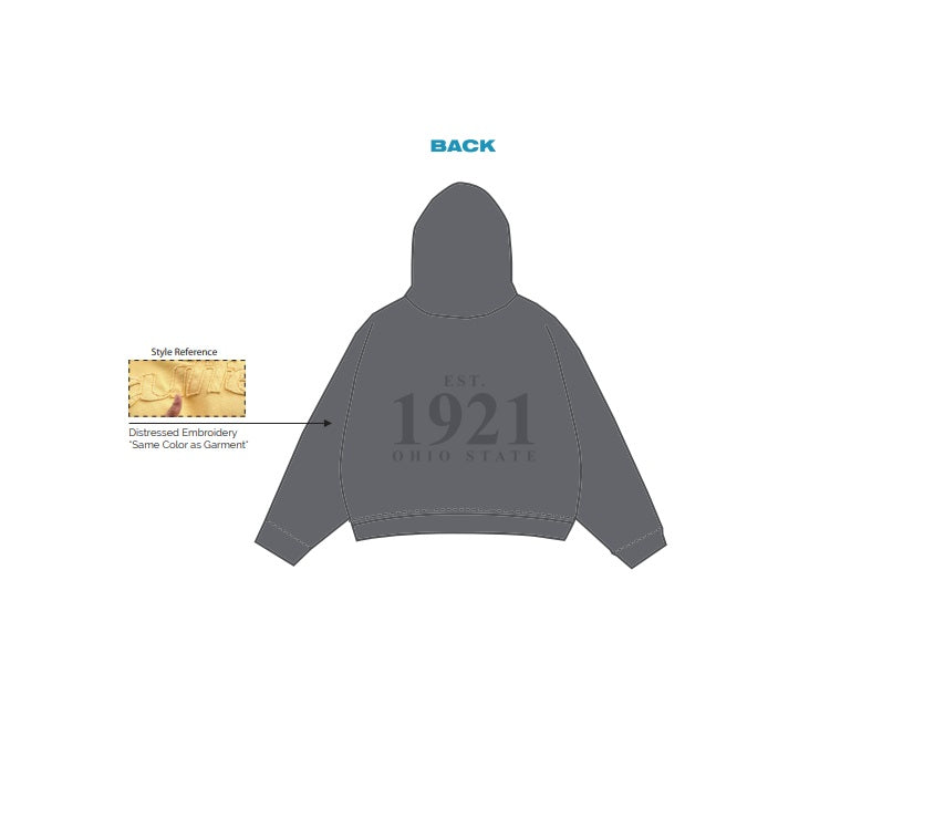 H3G-2825-Ohio State University-Delta Sigma Pi (Business Fraternity)-HOODIE