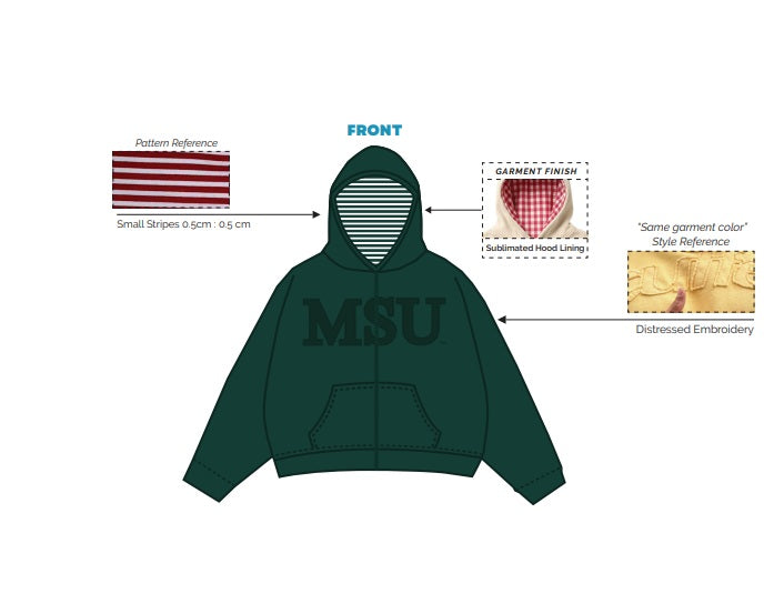 H3G-2596-Michigan State University-Pi Beta Phi-HOODIE
