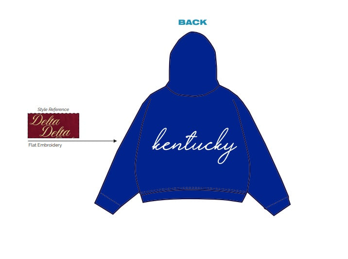 H3G-2187-University of Kentucky-delta zeta-HOODIE
