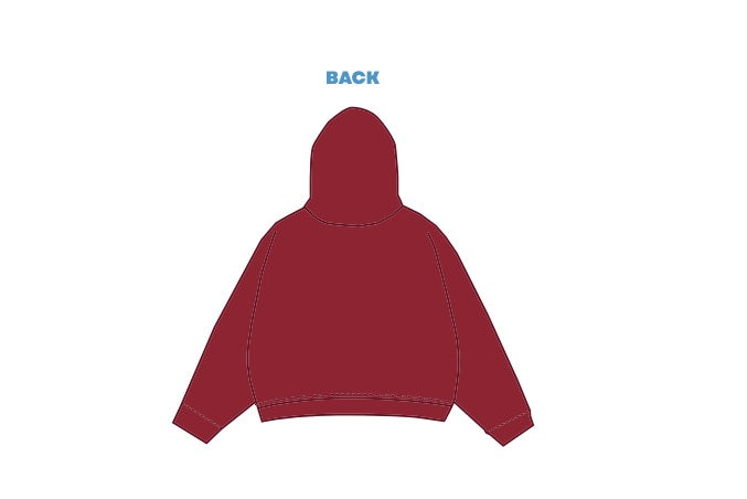 H3G-2613-Iowa State University-Alpha Delta Pi-Standard Hoodie