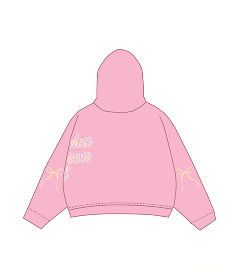IN-0070 - Miami University X Alpha Omicron Pi Hoodie