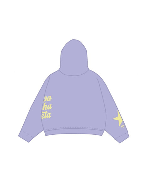 HG-0907 - Sacred Heart University - Kappa Alpha Theta Hoodie